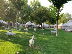 -九十九顶毡房(阜石路店)