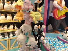 -秦皇岛乐岛海洋王国