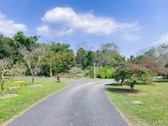 -中国科学院西双版纳热带植物园