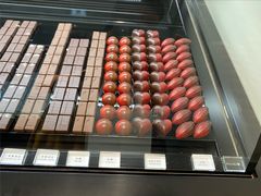 -BLACKSWAN黑天鹅(环球店)