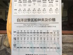 -白洋淀景区
