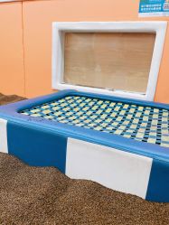 -孩子王童乐园(马群店)