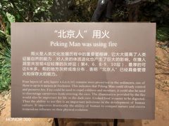 -北京周口店北京人遗址博物馆