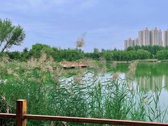 -燕郊植物园