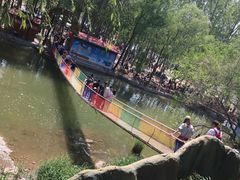 -东方巨龟苑景区