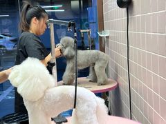 -FAELING PETS美天灵宠物(富力广场店)
