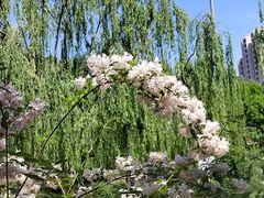 -元大都城垣遗址公园