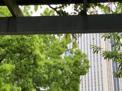 -解放公园