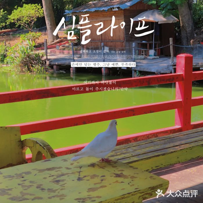 松山湖南湖湾露营营地图片