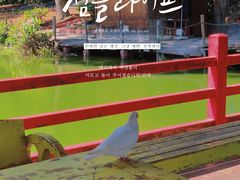 -松山湖南湖湾露营营地