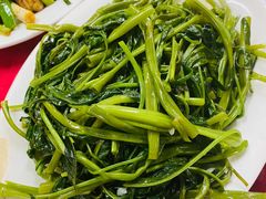 -蛇口康乐快餐鱼仔档(翠苑小区店)