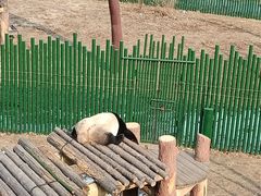 -沈阳森林动物园