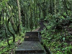 -巍山古城