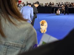 -东浩兰生上海世博展览馆