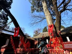 -少华山国家森林公园