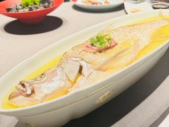 -子福慧(虹桥店)
