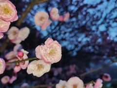 -天鹅湖体育公园