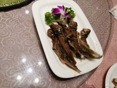 -浦江餐饮•上海菜馆(五四路店)