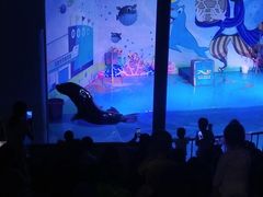 -乌鲁木齐海洋馆