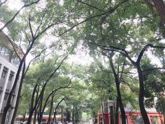 -四川大学(望江校区)