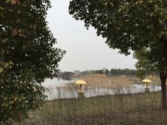 -梁鸿国家湿地公园
