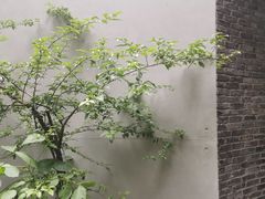 -箱美术馆私房菜(水晶郦城店)