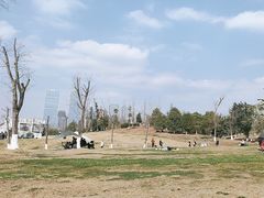 -桂溪生态公园