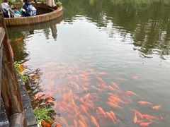 -天目湖山水园