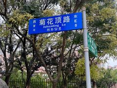 -幸福门