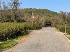 -东山风景区(洞庭东山)