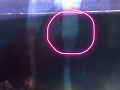 -藦茜花园宠物主题亲子互动体验馆(国顺东路店)