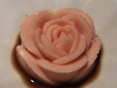 -小厨娘金榜题名(夫子庙秦淮河店)