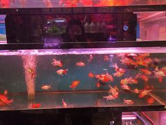 -双季花艺园艺市场(浦东店)