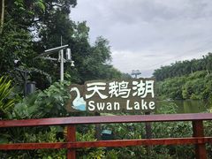 -广州长隆野生动物世界