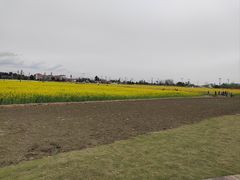 -中国天府农业博览园