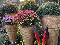 -共青国家森林公园-售票处