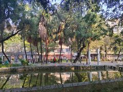 -垂虹公园