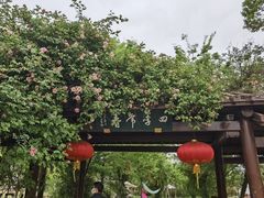 -鹅湖玫瑰文化园