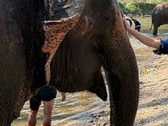 -清迈丛林飞跃 JungleFlight