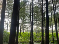 -云龙湖旅游景区