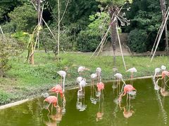 -杭州野生动物世界