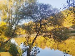 -秦岭风景区