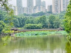 -龙头寺公园