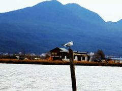 -大理洱源西湖景区