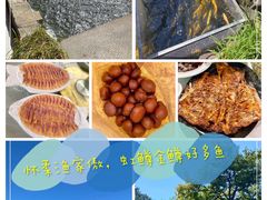 -京北渔家傲