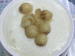 -义顺牛奶公司