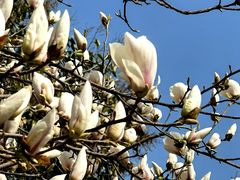 -唐城墙遗址公园