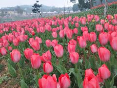 -长沙园林生态园