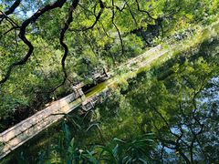 -小洲村
