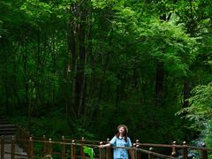 -叠溪松坪沟景区